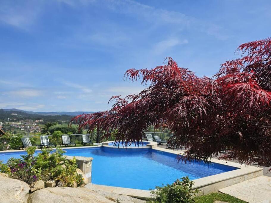 Fernandes Guest House Blue Bungalow Ponte de Lima Extérieur photo